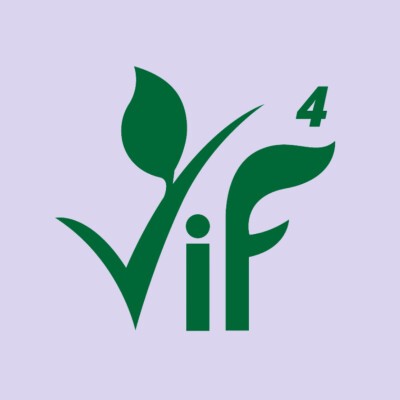Logo VIFFFF